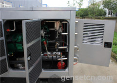 CHP Power Set-Gas Generator