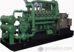 Shengdong Nature Gas Generator Set