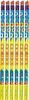 20 shots 1.4G Consumer Roman Candle Fireworks UN 0336 Wedding Display Fireworks