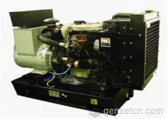 Lovol Diesel Generator Set