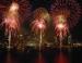 Celebration outdoor Commercial Fireworks for corporate events , Chry effect