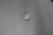 Plating Metal Bowknot Pattern Custom Clothing Buttons , 14L 22L 26L