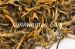 Yunnan Fengqing Golden Buds Black Tea