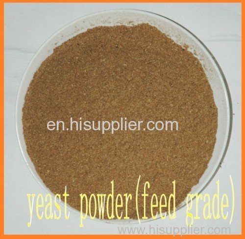 yeast powder 60% yeast feed yeast meal protein feed animal feed