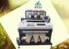 Self - Checking Coffee bean / Recycled Plastic Sorting Machine With 10&quot; TFT Touch Screen