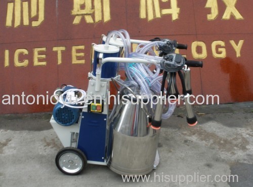 Cow two bucket piston milking machine