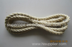 Sisal Rope/Manila Rope/Abaca Rope/Fiber Rope