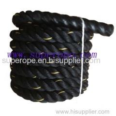fitness rope/ outdoor fitness rope/sporting manila rope /sporting rope