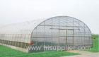 Customized energy saving Commercial greenhouses , 8000mm span tunnel greenhouse