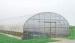 Customized energy saving Commercial greenhouses , 8000mm span tunnel greenhouse