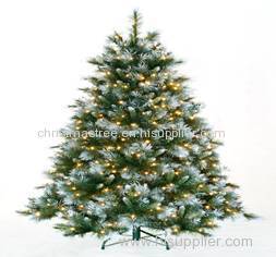 Christmas tree traditional christmas tree
