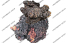 Chaga mushroom extract-factory supply