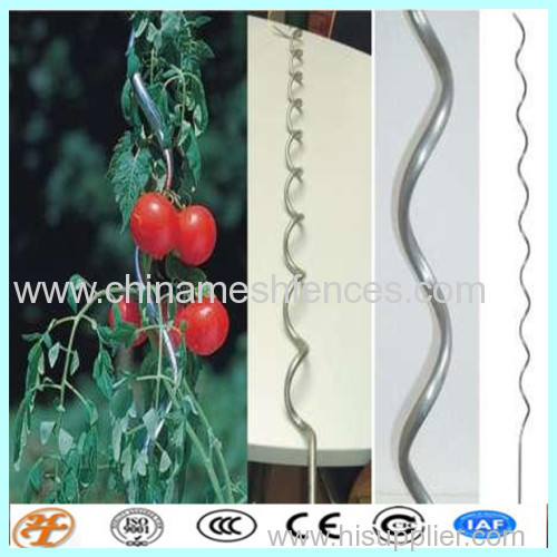 tomato spiral stakes wire