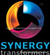 Synergy Transformers