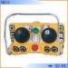 Telecrane Wireless Industrial Remote Control , Shock Resistance