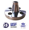 Duplex steel WN welding neck flange