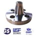 Stainless steel weld neck flange