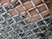 Stainless Steel Crimped Wire Mesh