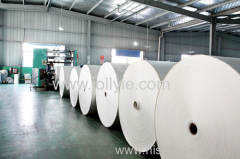 PE coated cup stock paper board for paper cup