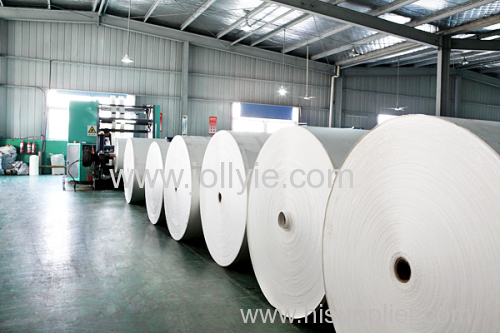 Food Grade cup stock paper board supplier from China