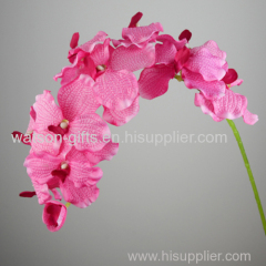 Hot sale decorative vanda orchids