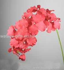 Hot sale decorative vanda orchids