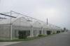 8000mm span plastic film gothic style greenhouse for Commercial , 3000mm section