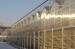 3 ridges per span 10800mm span polycarbonate greenhouse for Commercial