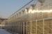 3 ridges per span Multi - span polycarbonate Commercial greenhouses , 4000mm section