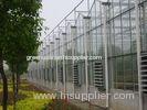 12000mm span glass Commercial greenhouses , 4000mm section Venlo greenhouse