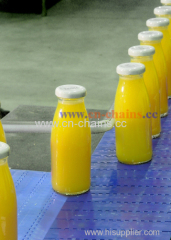 belt width is 152.4mm plastic conveyor belt in can-industry