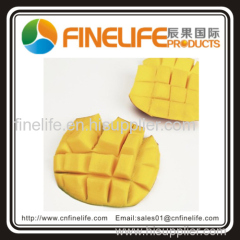 Mango Corer Slicer Splitter