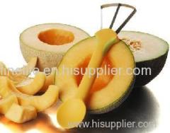 New Arrival Smart kitchen Tool Melon Seeder & Slicer