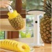 as seen on TV stainless steel pineapple peeler