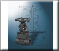 Forged steel gate valves