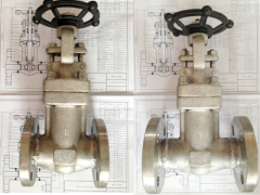 NSV Bellows Gate Valve