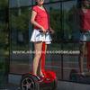 100 v - 240v Electric 2 Wheel self balancing Scooter DC Motor For Tourist Sightseeing