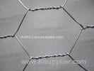 Plastic Galvanized Hexagonal Wire Netting , 25 - 50mm Hole For Garden