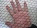 Galvanized Steel PVC Coated Wire Mesh Fence , Electric Poultry Netting