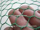 Vinyl Coated Hexagonal Wire Netting/PVC Hexagonal Wire Netting