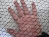 Vinyl Coated Chicken Wire Mesh Fence , Welded Wire Fabric