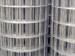 Galvanized Decorative Welded Wire Mesh Fence Panels/Welded Wire Fencing