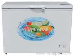 High efficiency compressor Chest Freezer in 258L