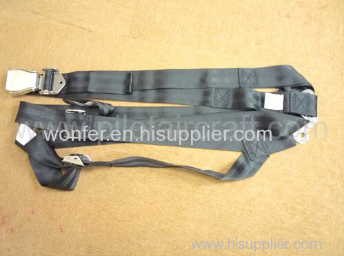 RESTRAINT Safe Belt Kit