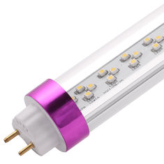 T8 LED Tube Light,1.2m LED Tube,LED Tube Light Factory