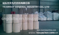 Gdteamway Curtain Stitchbond Nonwoven Fabric