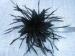 Beautiful Fashion Scattered Black Cock Feather Flower Fascinator For Hats , Bags