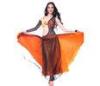 Sexy Belly Dance Competition Costumes for Girl / Women , Belly Dancer Clothing