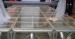 Portable Glass Acrylic Stage Platform For Performances 1.22 * 2.44M