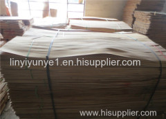 competitive price Eucalyptus Core Veneer